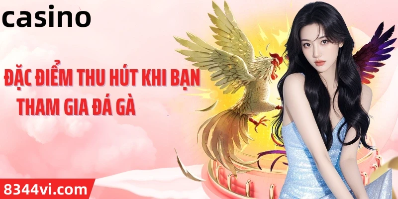 Hình ảnh quảng cáo của du88 hiển thị nền tảng và các lợi ích